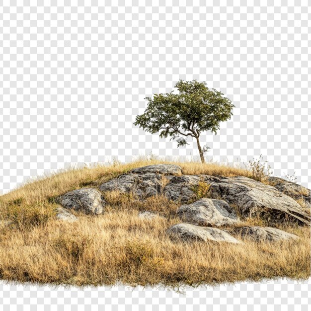 Een eenzame boom op de top van een rotsachtige heuvel Een serene landschap