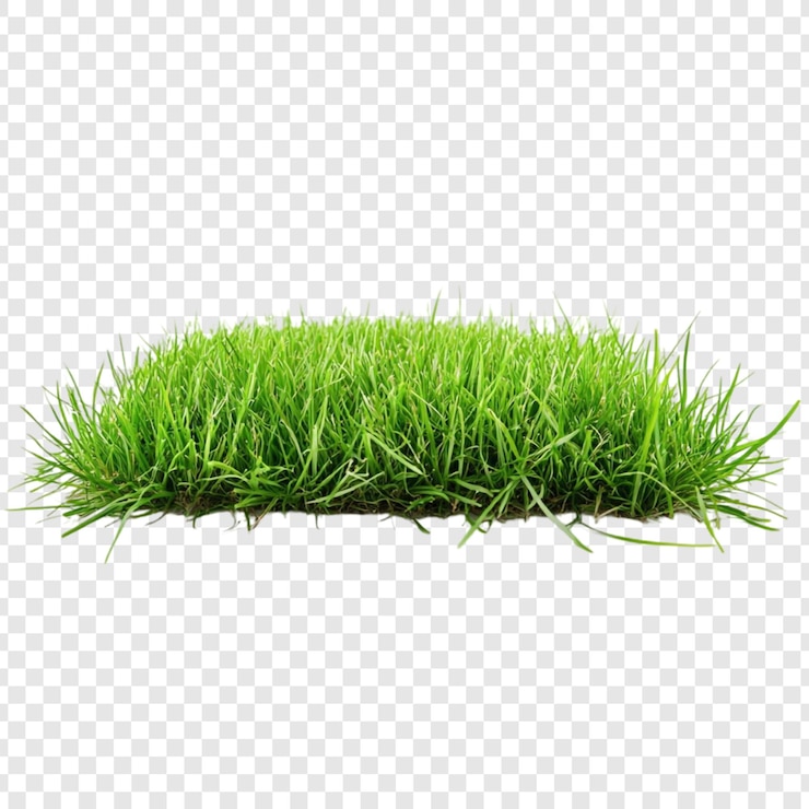 Gratis PSD een weelderig groen grasveld geïsoleerd op een doorzichtige achtergrond