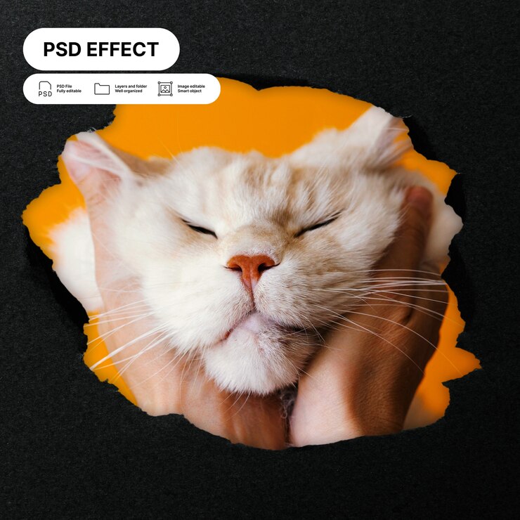PSD gratuito efecto de foto de papel rasgado