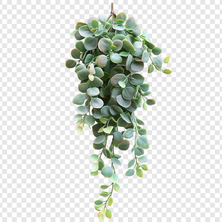 PSD Gratis elegant cascading greenery artificial hanging plant