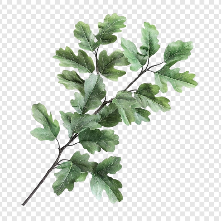 PSD Gratis elegant oak branch with lush green foliage