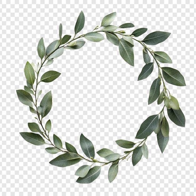Elegante marco de corona de vegetación Círculo de hojas naturales