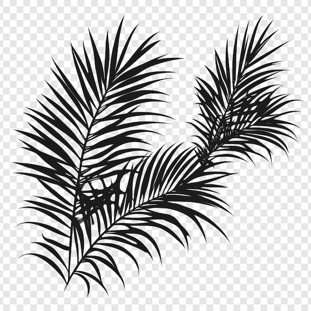 La elegante silueta de la fronda de la palma es un elemento de diseño tropical