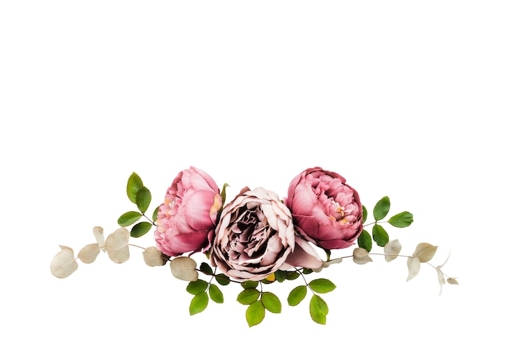 PSD gratuito elementos de la flor de la rosa aislados
