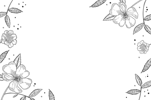 Esquema de flores botánicas