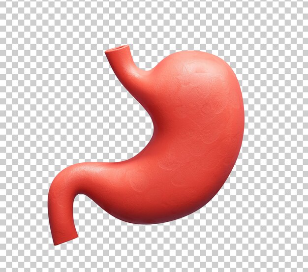 Estómago Órganos humanos Ilustración de icono en 3D