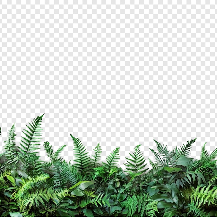PSD gratuito la exuberante vegetación una vibrante colección de helechos y follaje tropical