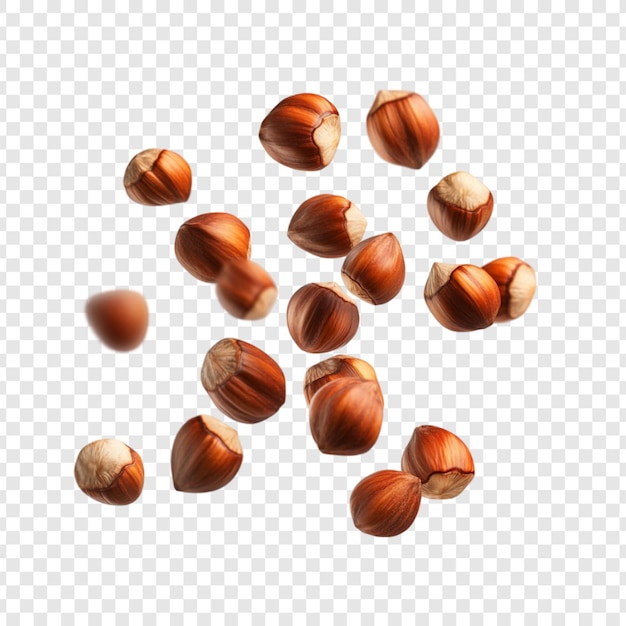 Falling Hazelnuts Een heerlijke cascade van de natuur Bounty