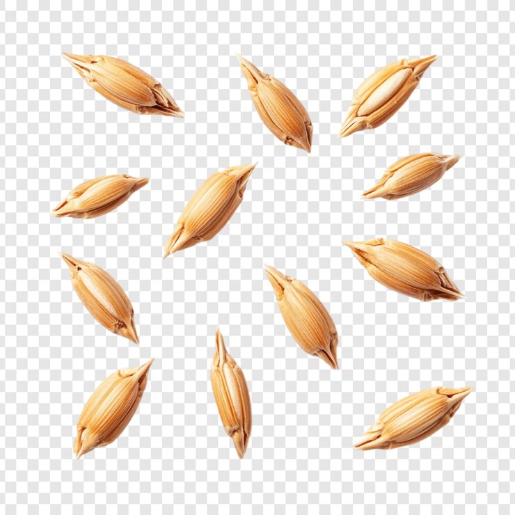 PSD Gratis falling wheat grains golden harvest abundance