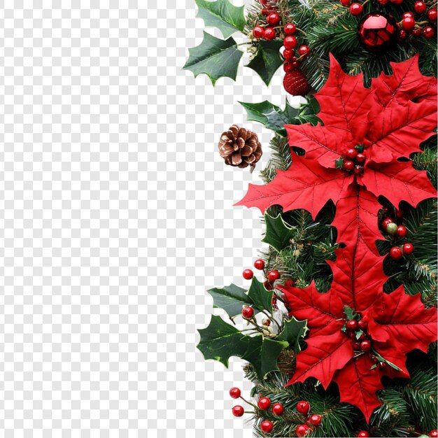 La festiva Poinsettia de Navidad y la Frontera de Holly