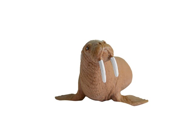 Figurine di animali selvatici isolati
