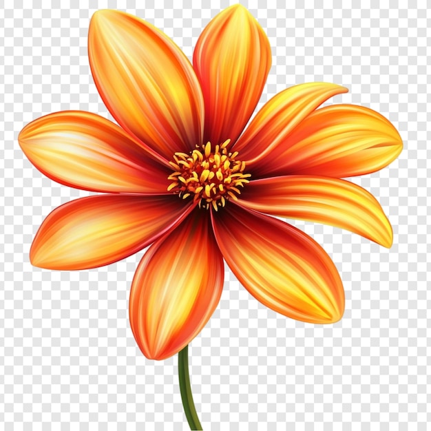 La flor de la dalia naranja vibrante