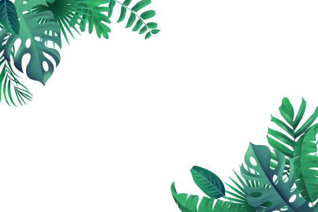 Foglie di palme tropicali isolate