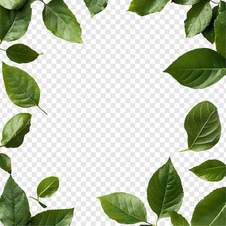 PSD gratuito foglie verdi cornice natura confine elegante