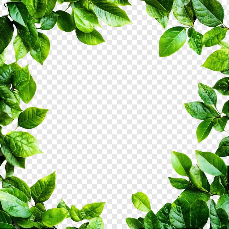 PSD gratuito foglie verdi lussureggianti cornice natura confine vibrante