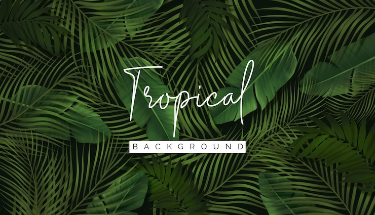 PSD gratuito fondo de follaje tropical