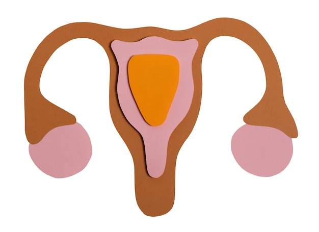 Forma isolata delle ovaie e dell'utero