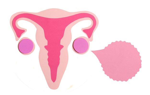Forma isolata delle ovaie e dell'utero