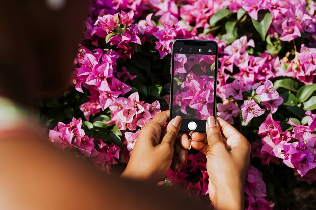 Fotografía de flores