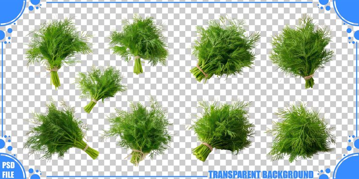 PSD Gratis fresh green herb bundles on transparent background
