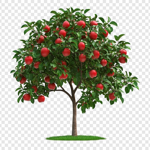 Un frondoso manzano con abundancia de manzanas rojas