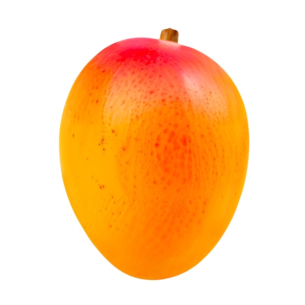 Fruto de mango aislado