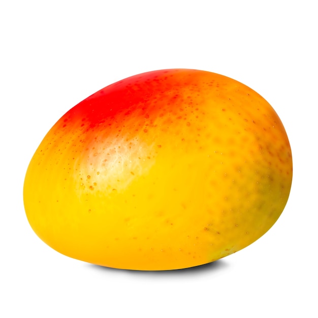 Fruto de mango aislado