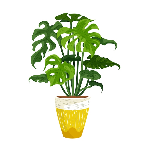 Gedetailleerde isolatie van de plant