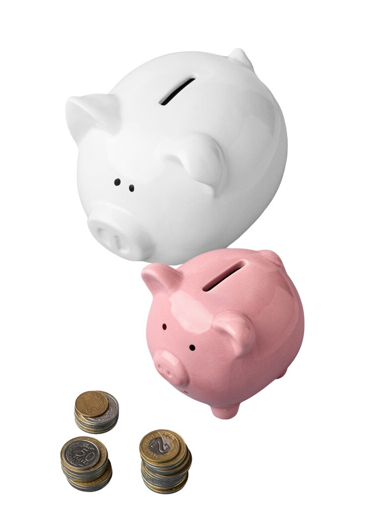 Gratis PSD geïsoleerde spaarpot