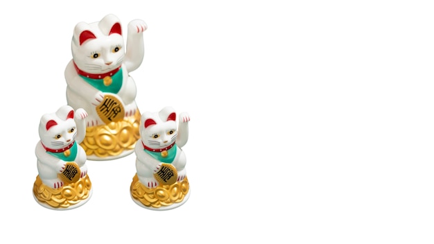 Gelukkige kat stilleven