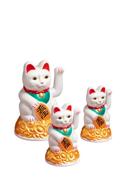 Gelukkige kat stilleven