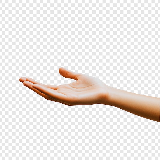 Gesto de la mano abierta para dar y recibir ayuda Apoyo de la palma hacia arriba Ofrece mano humana aislada Fondo limpio Imagen simple
