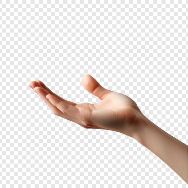 Gesto de la mano abierta de dar recibir ayuda ofrecer apoyo invitación palma hacia arriba anatomía humana parte del cuerpo piel suavidad cuidado ternura llegar llegar
