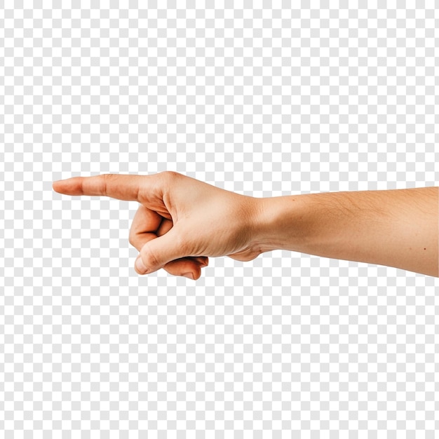 Gestos de la mano Indicación de la dirección del dedo Anatomía humana Fondo aislado