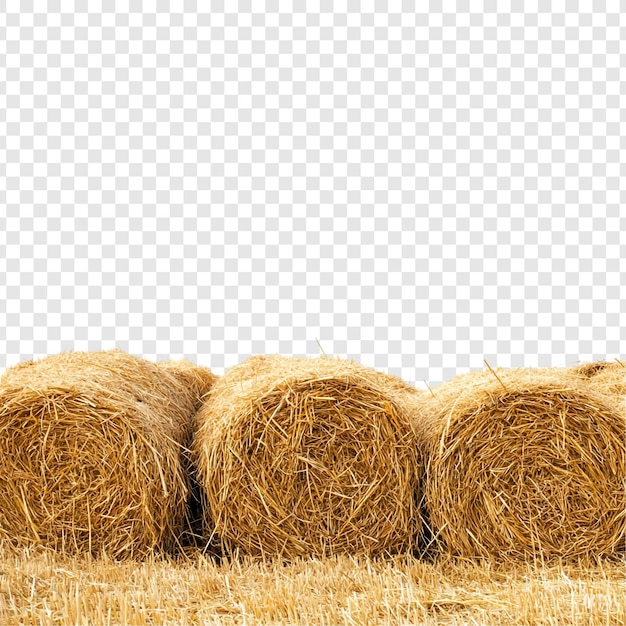 Gouden hooibalen op een plattelandsveld