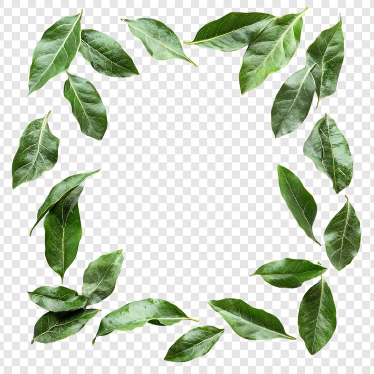 Gratis PSD groen blad frame natuur elegante rand