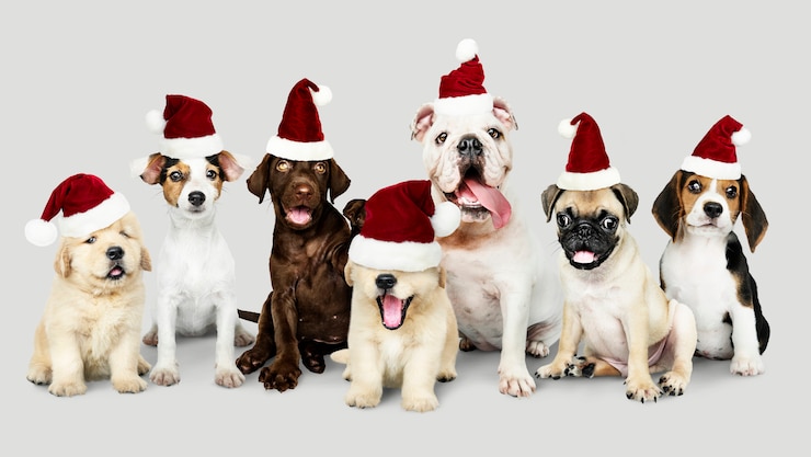 PSD gratuito gruppo di cuccioli che indossano cappelli natalizi per festeggiare il natale
