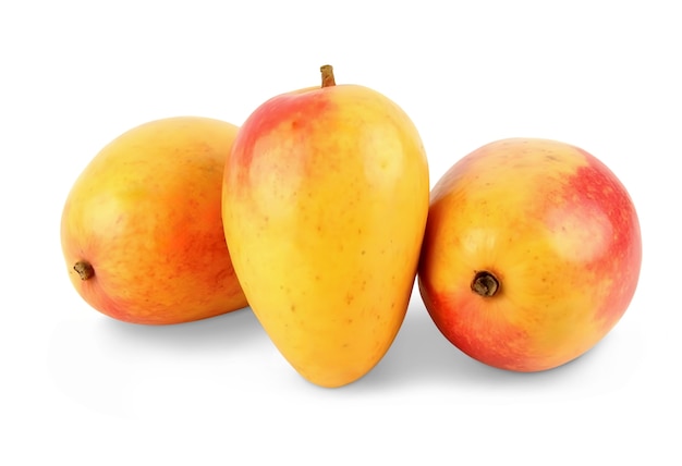 Heerlijke mango in de studio.