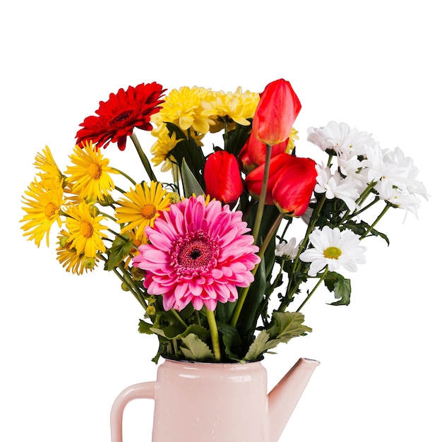 Hermosas flores aisladas