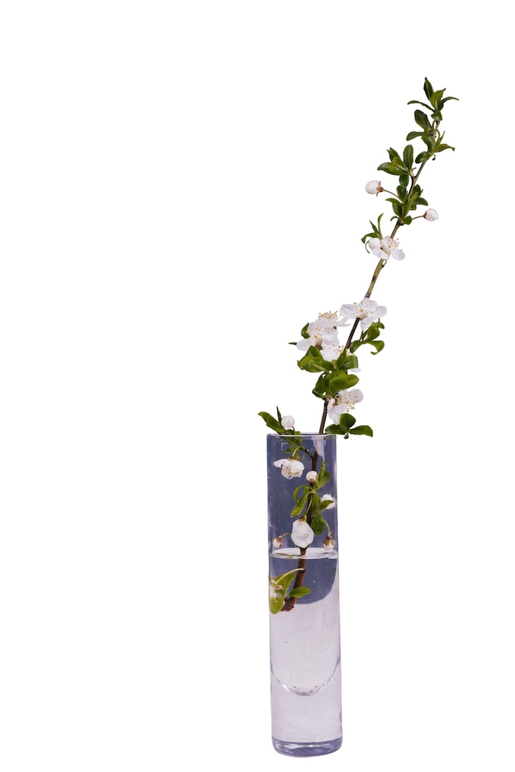 PSD gratuito hermosas flores en florero aislado