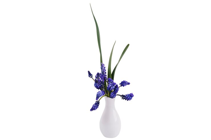 PSD gratuito hermosas flores en florero aislado