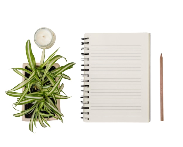 Hermosas hojas con cuaderno