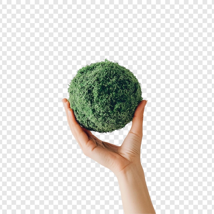 Gratis PSD het behoud van onze planeet een hand die een bol van weelderig groen mos vasthoudt