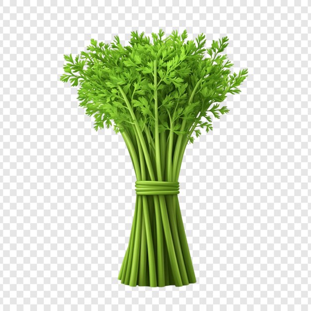 Hierba verde vibrante con un racimo de cilantro fresco