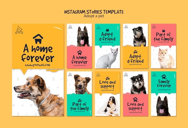 PSD gratuito historias de instagram con adopción de mascotas