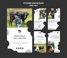 PSD gratuito historias de instagram de leche fresca