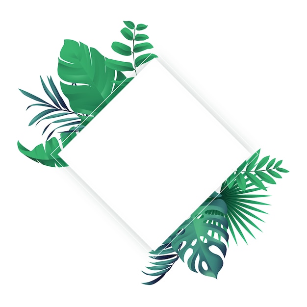 Hojas aisladas de palmeras tropicales
