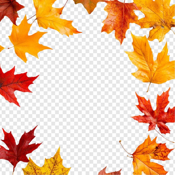 PSD gratuito las hojas de otoño el marco vibrante el borde del follaje de otoño
