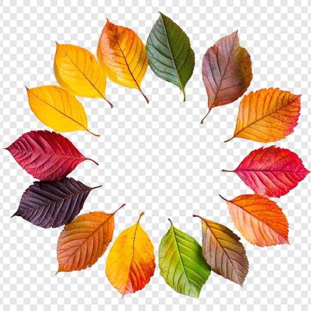 Las hojas de otoño rodean una vibrante corona de colorido follaje de otoño