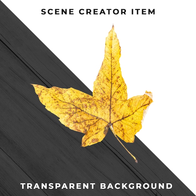 Houten blad transparant PSD